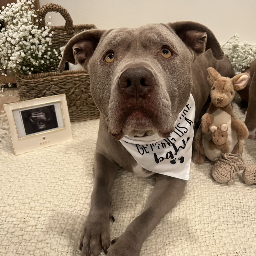Photo shared by Michelle for their Babylist baby registry.