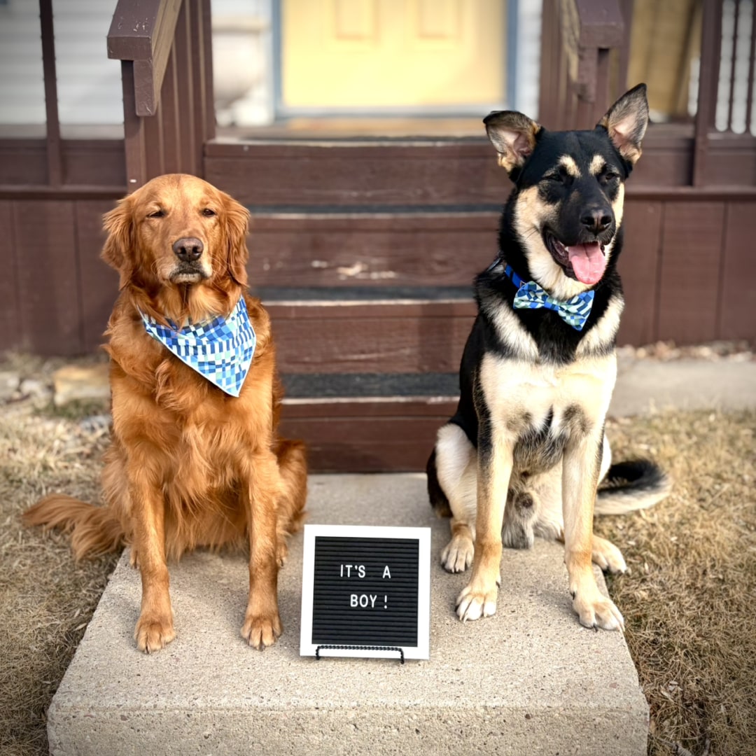 Photo shared by Wade for their Babylist baby registry.