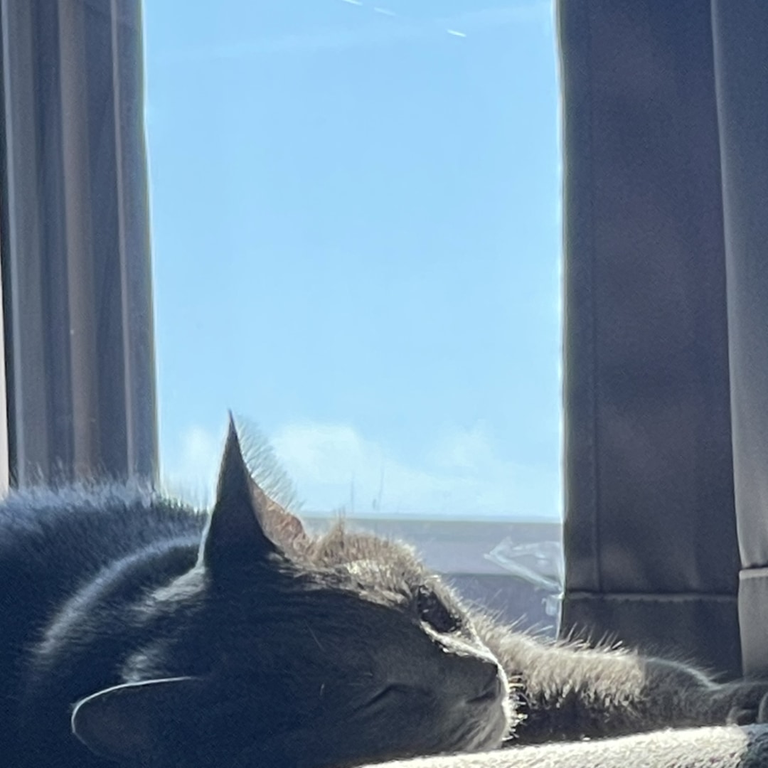 Photo shared by Amy for their Babylist baby registry.