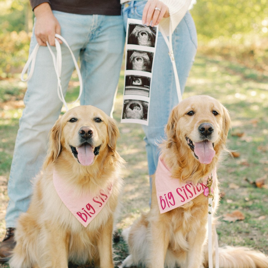 Photo shared by Elizabeth for their Babylist baby registry.