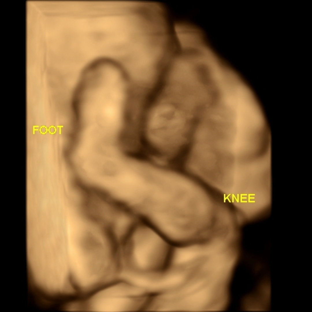 Photo shared by Gabbi for their Babylist baby registry.