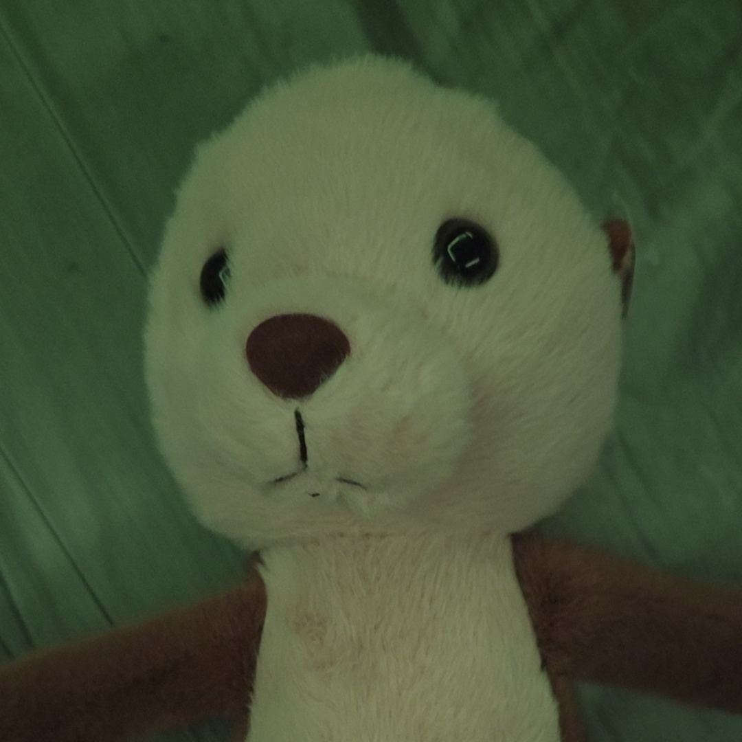 Photo shared by Cheyenne for their Babylist baby registry.