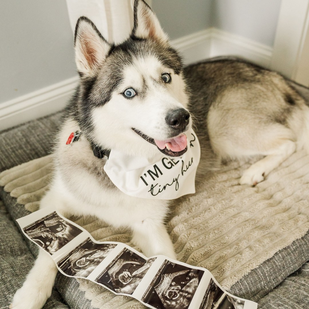 Photo shared by Kristin for their Babylist baby registry.