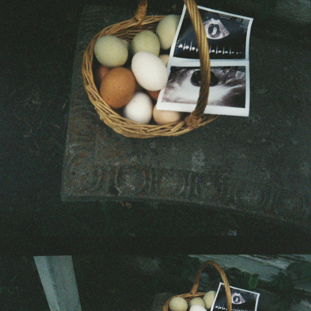 Photo shared by Madison for their Babylist baby registry.