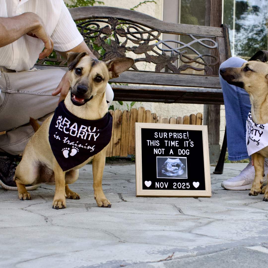 Photo shared by Sameet for their Babylist baby registry.