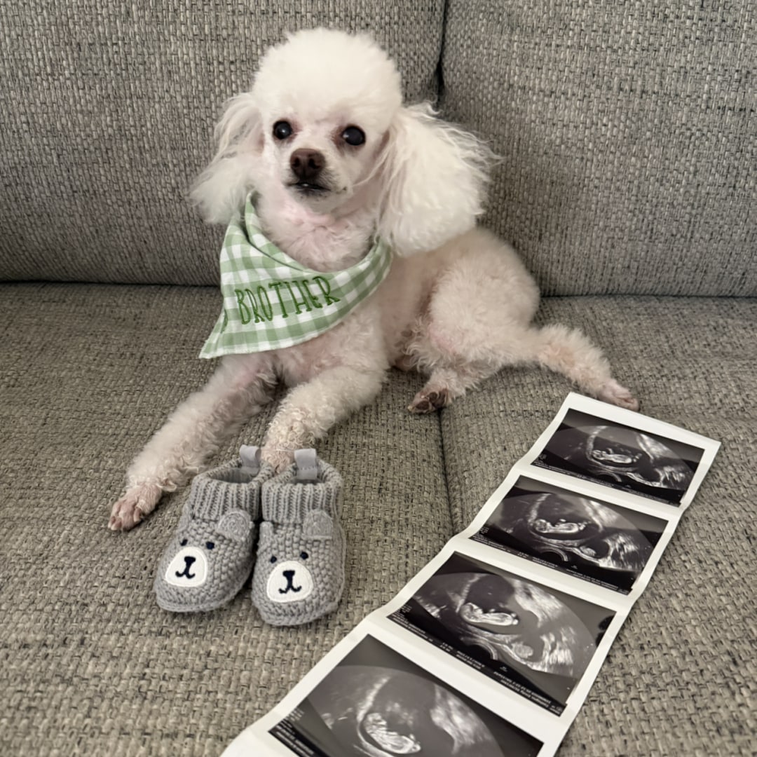 Photo shared by Emily for their Babylist baby registry.