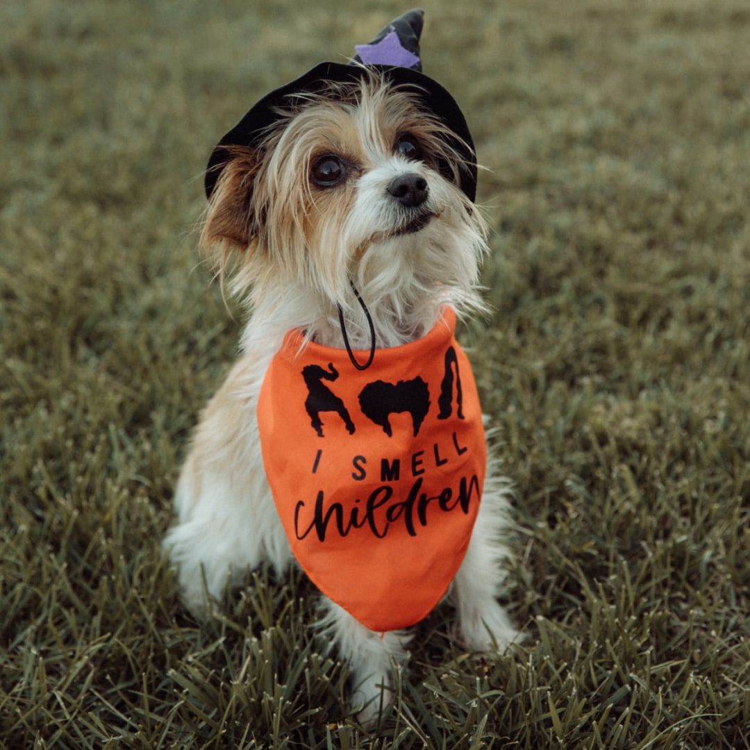 Photo shared by Danielle for their Babylist baby registry.