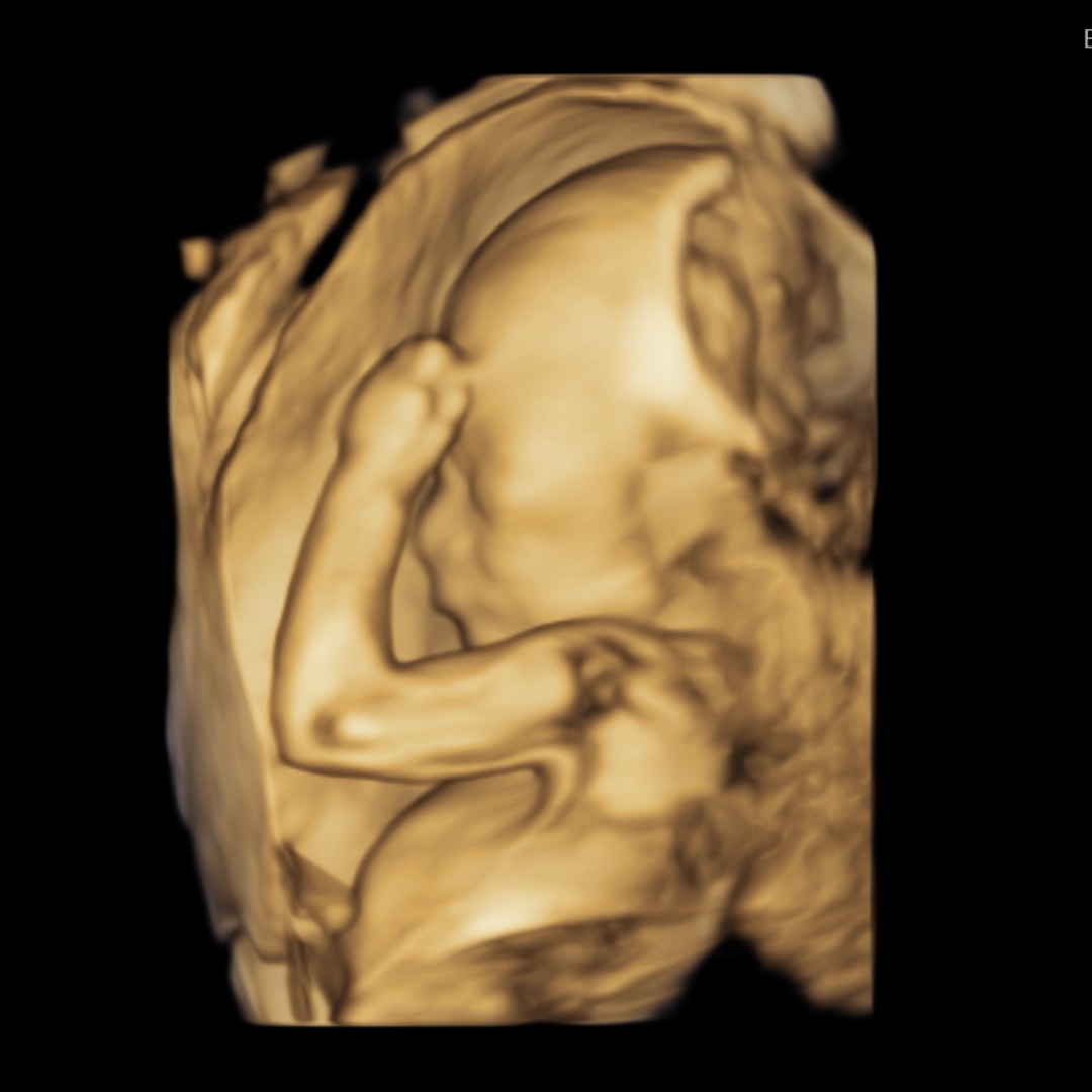 Photo shared by Sarah for their Babylist baby registry.