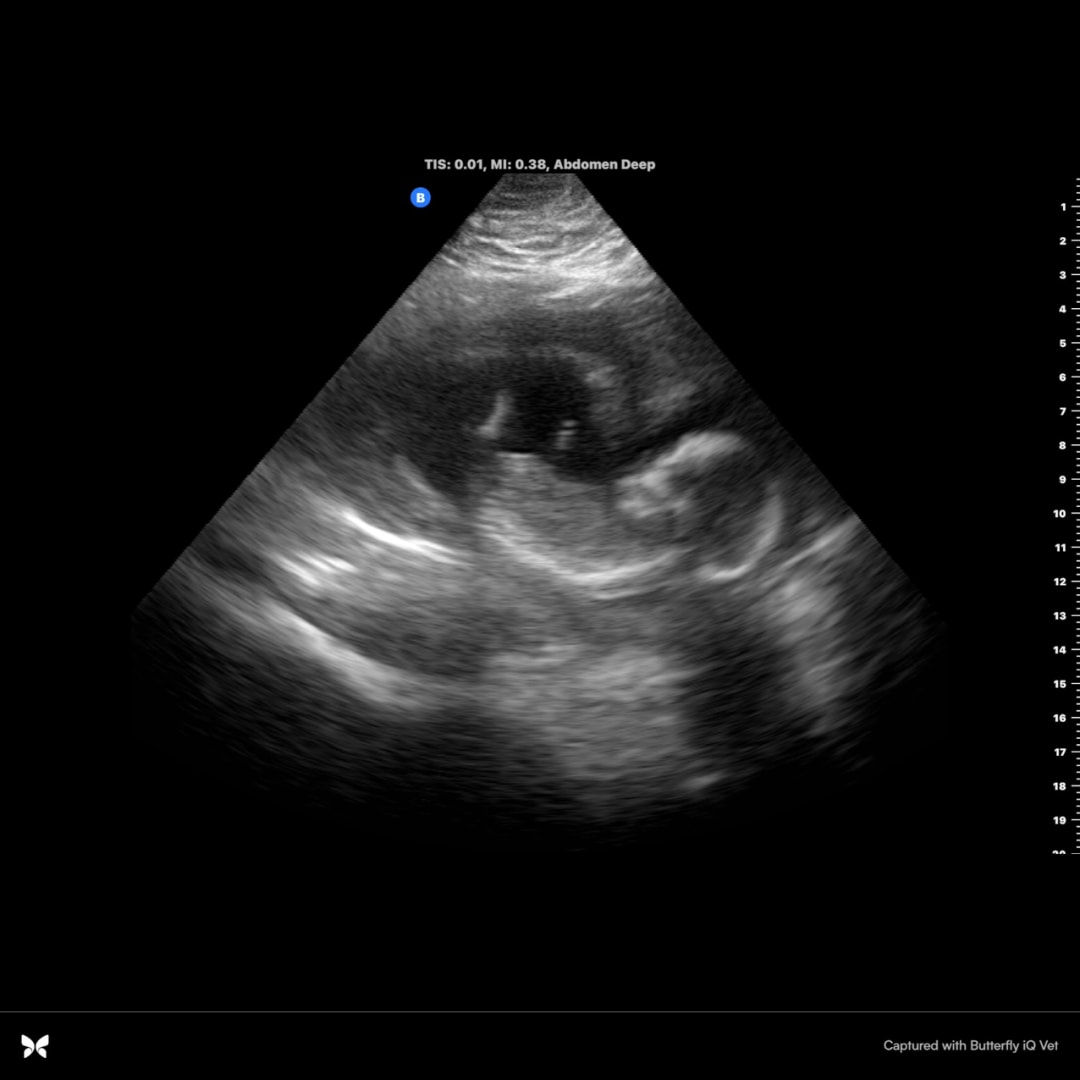 Photo shared by Chyan for their Babylist baby registry.