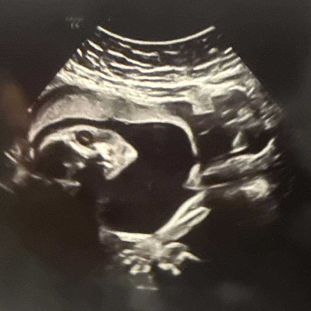 Photo shared by Kaitlyn for their Babylist baby registry.