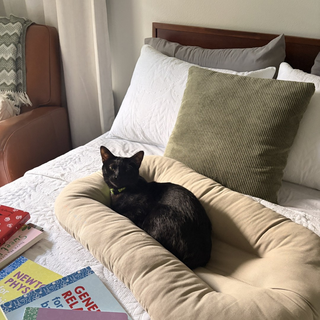 Photo shared by Morgan for their Babylist baby registry.