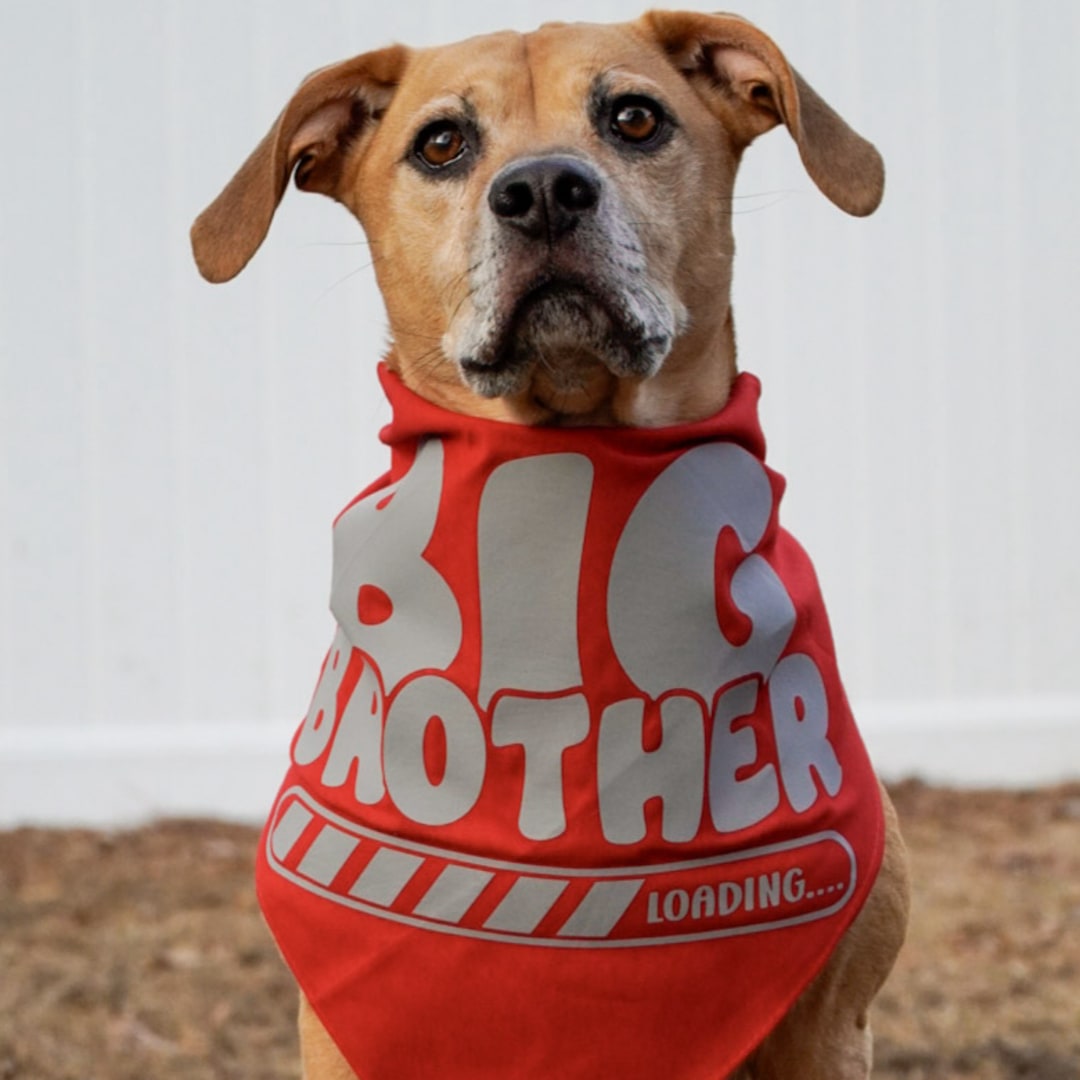 Photo shared by Joleen for their Babylist baby registry.