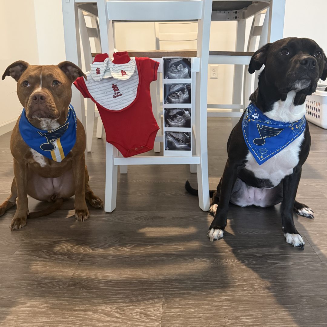 Photo shared by Ceairra for their Babylist baby registry.