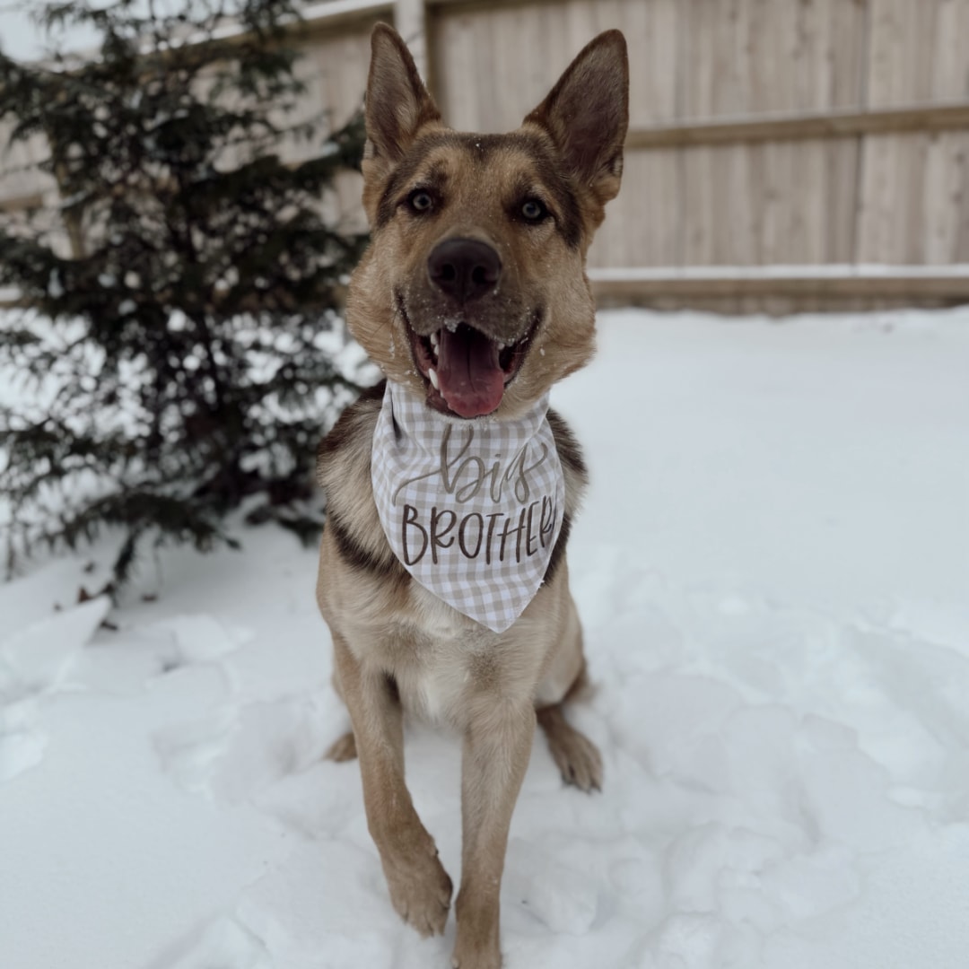 Photo shared by Bayleigh for their Babylist baby registry.