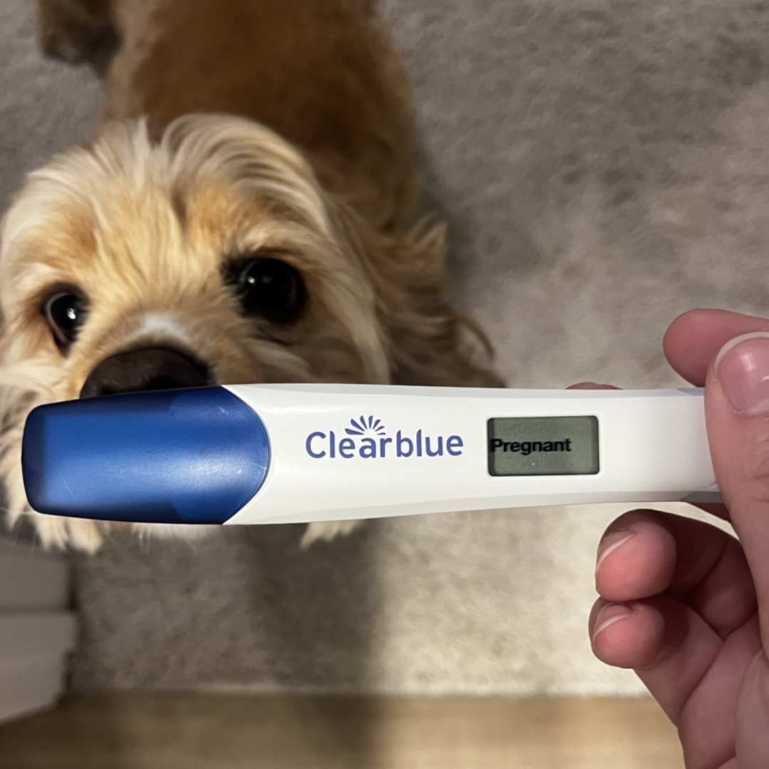 Photo shared by Anna for their Babylist baby registry.