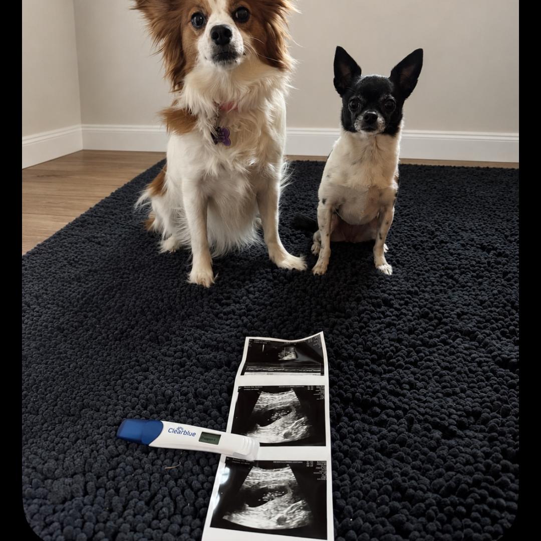 Photo shared by Ruth for their Babylist baby registry.