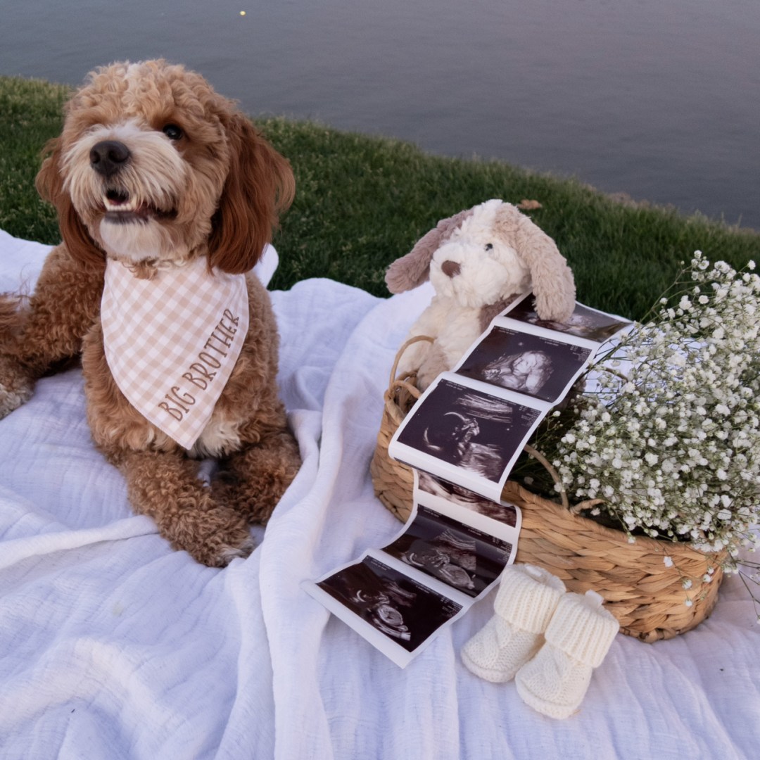 Photo shared by Elia for their Babylist baby registry.