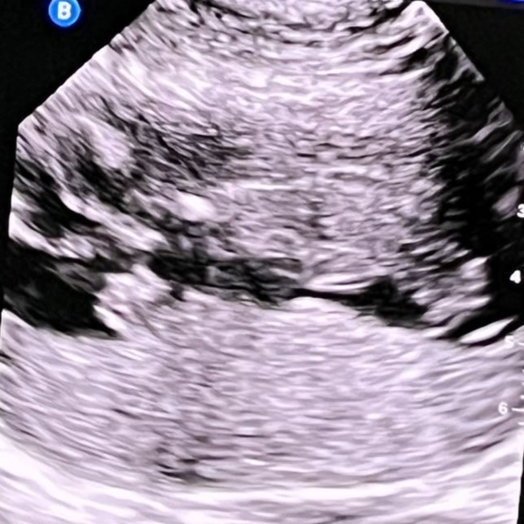 Photo shared by Summer for their Babylist baby registry.