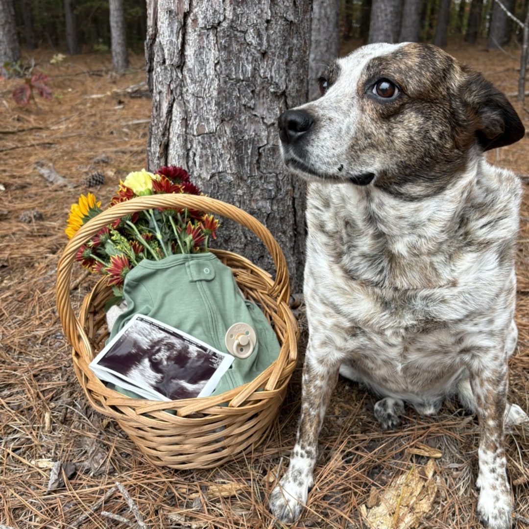 Photo shared by Autum for their Babylist baby registry.