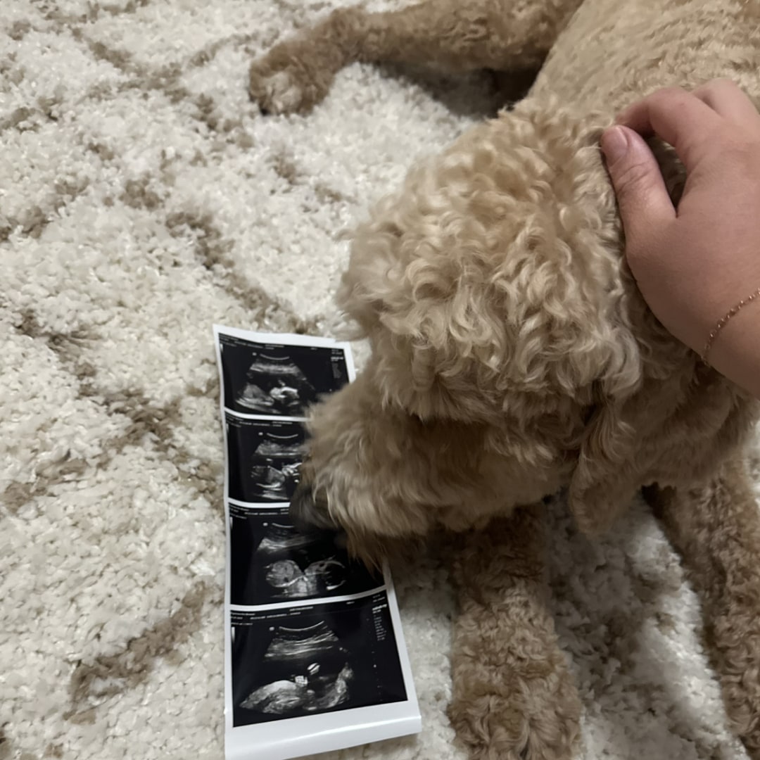 Photo shared by Bree for their Babylist baby registry.