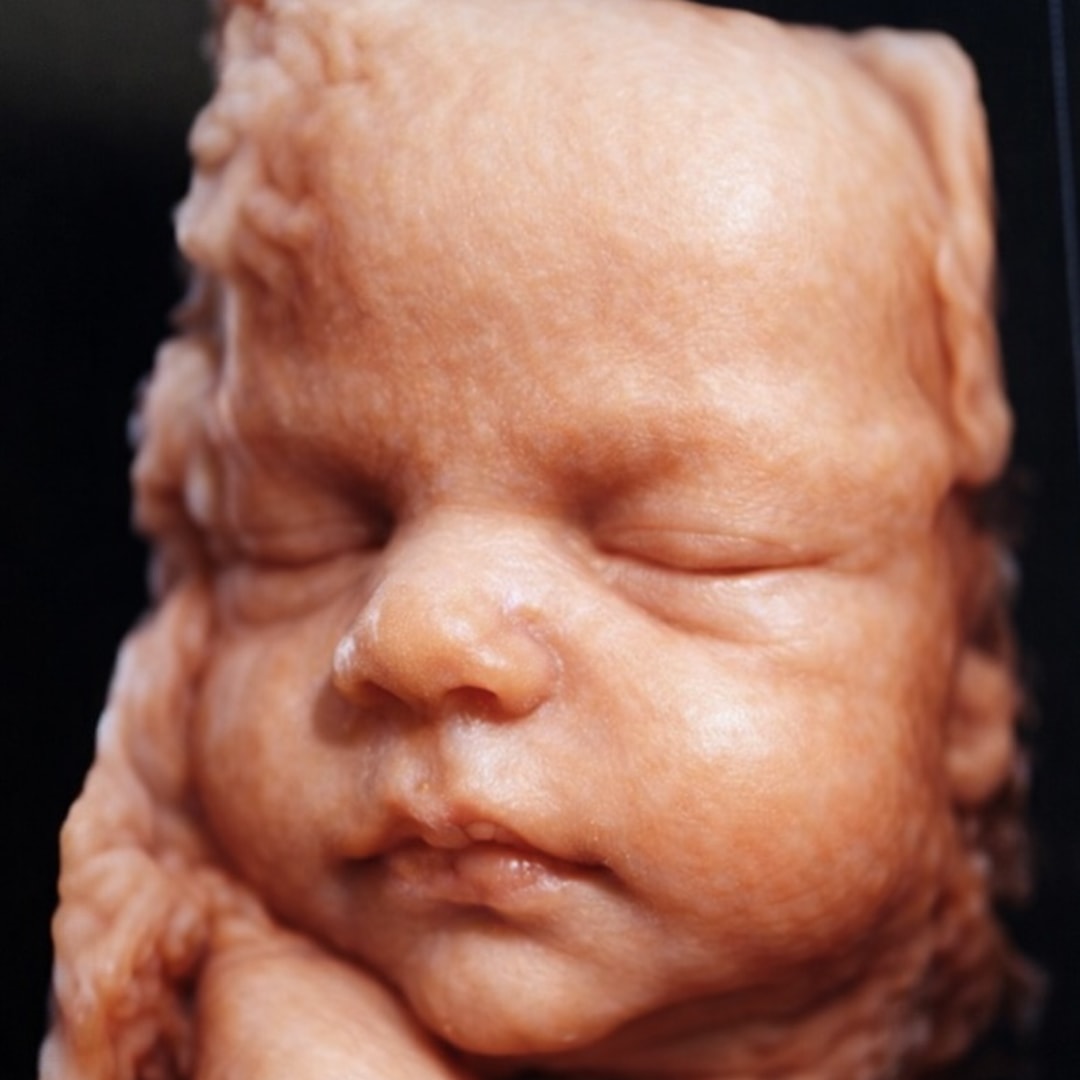 Photo shared by Sarah for their Babylist baby registry.