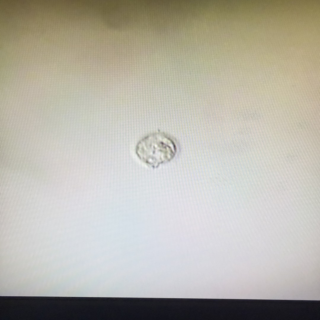 Photo shared by Addyson for their Babylist baby registry.