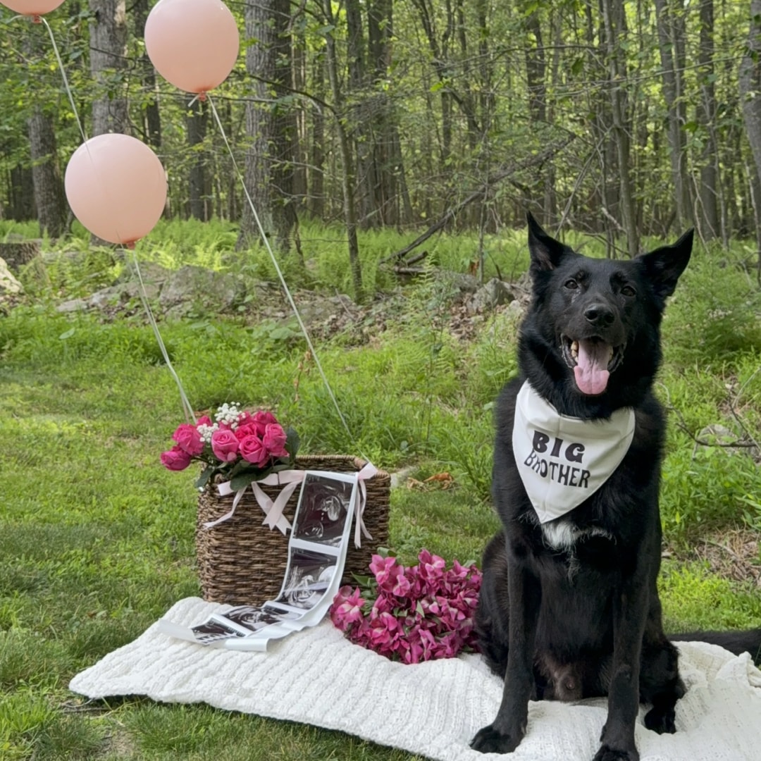 Photo shared by Alison for their Babylist baby registry.