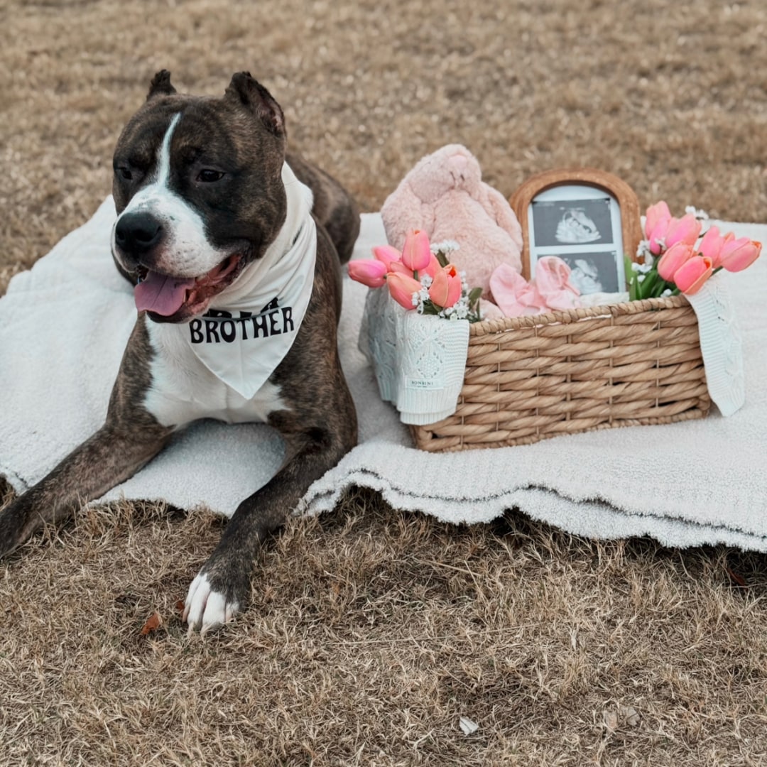 Photo shared by Emily for their Babylist baby registry.