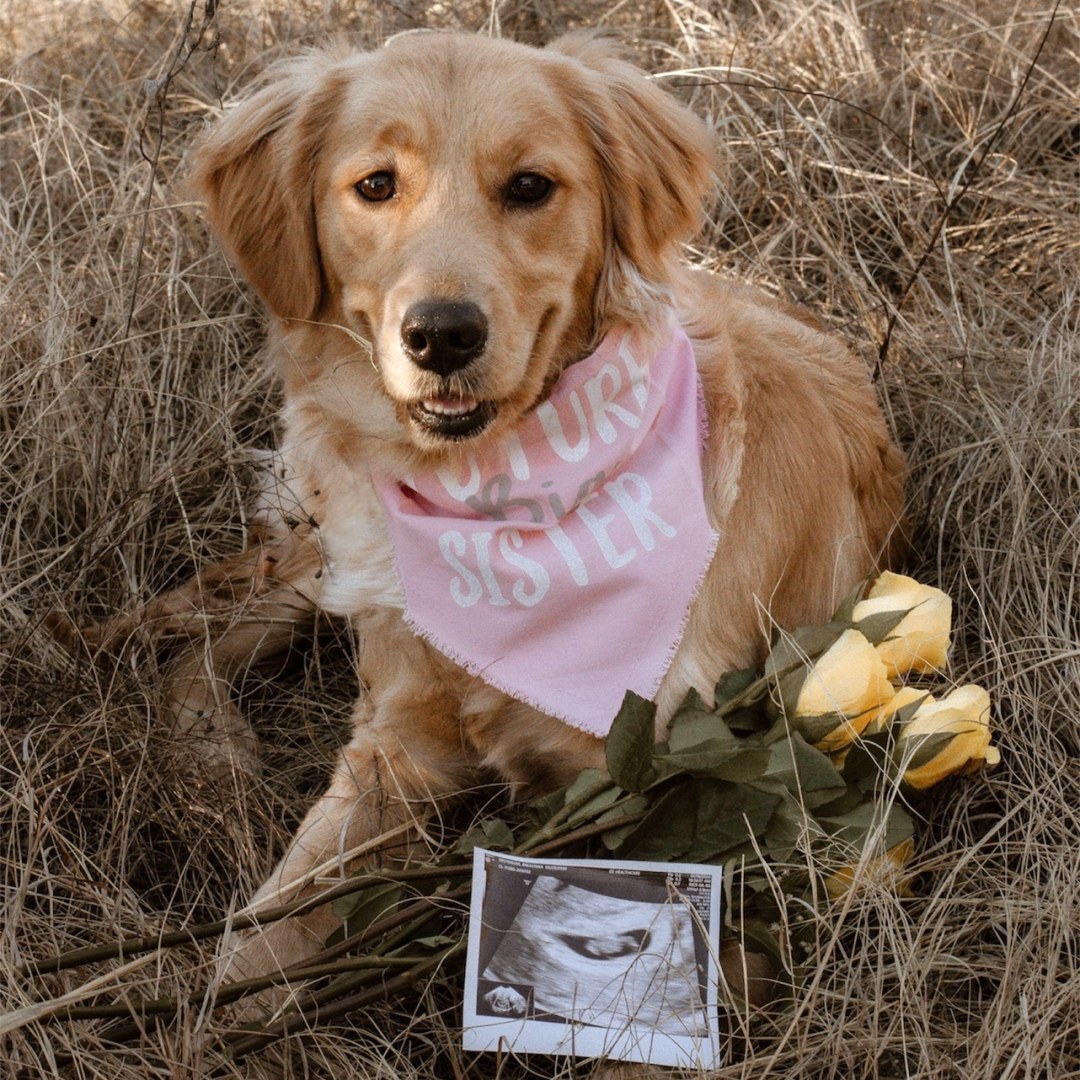 Photo shared by Breaunna for their Babylist baby registry.