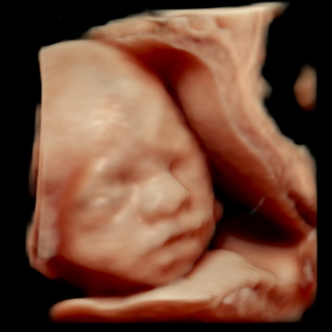 Photo shared by Catalina for their Babylist baby registry.