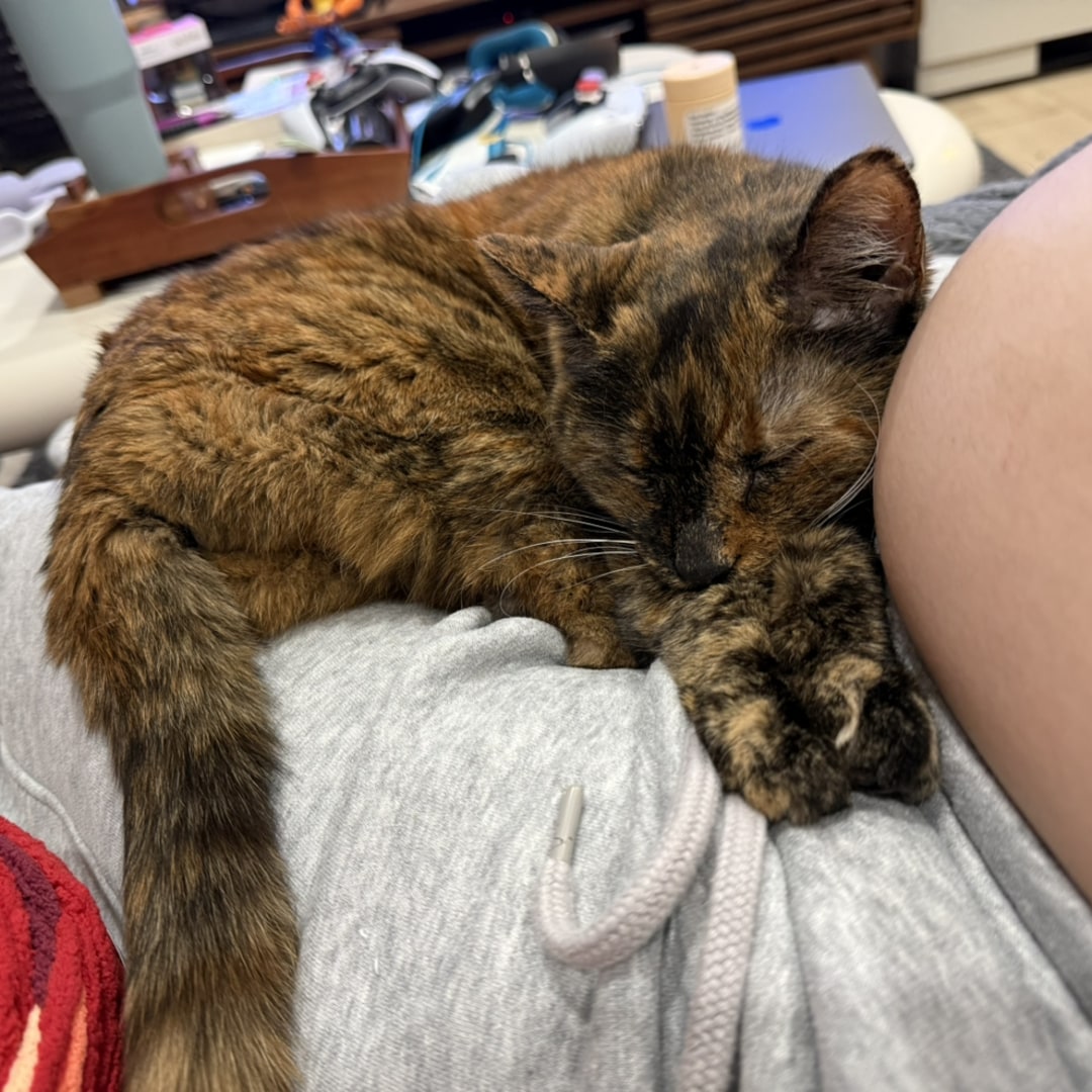 Photo shared by Kristine for their Babylist baby registry.