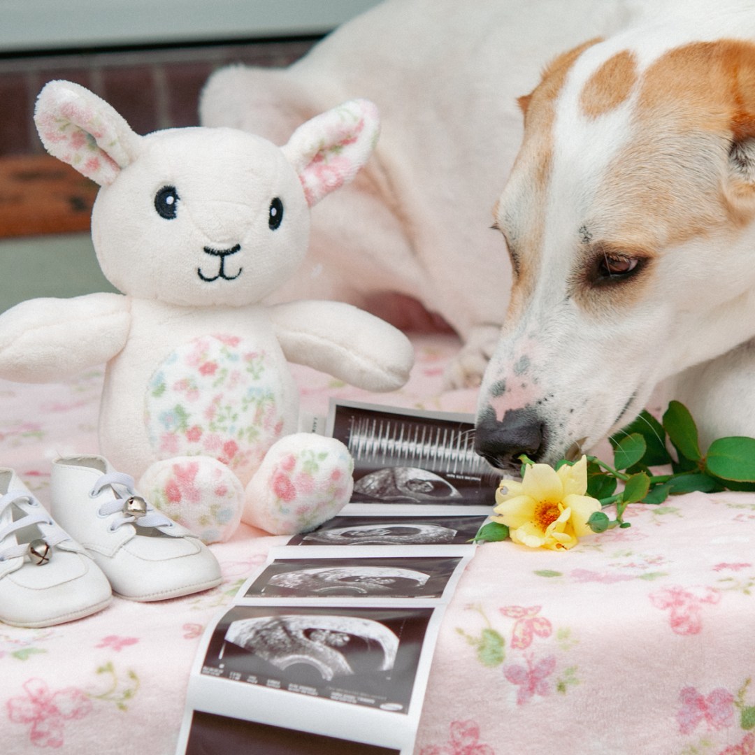 Photo shared by Grace for their Babylist baby registry.