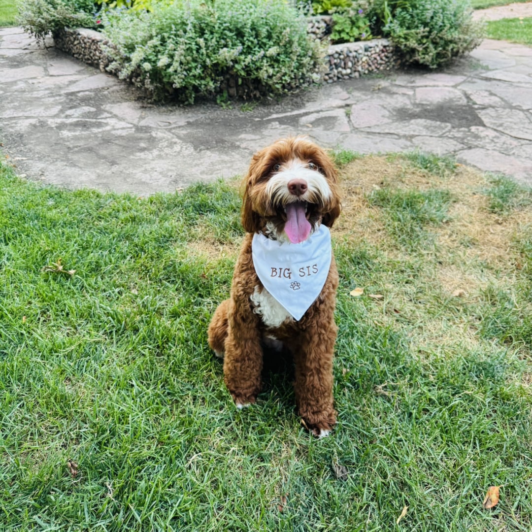 Photo shared by Lexie for their Babylist baby registry.