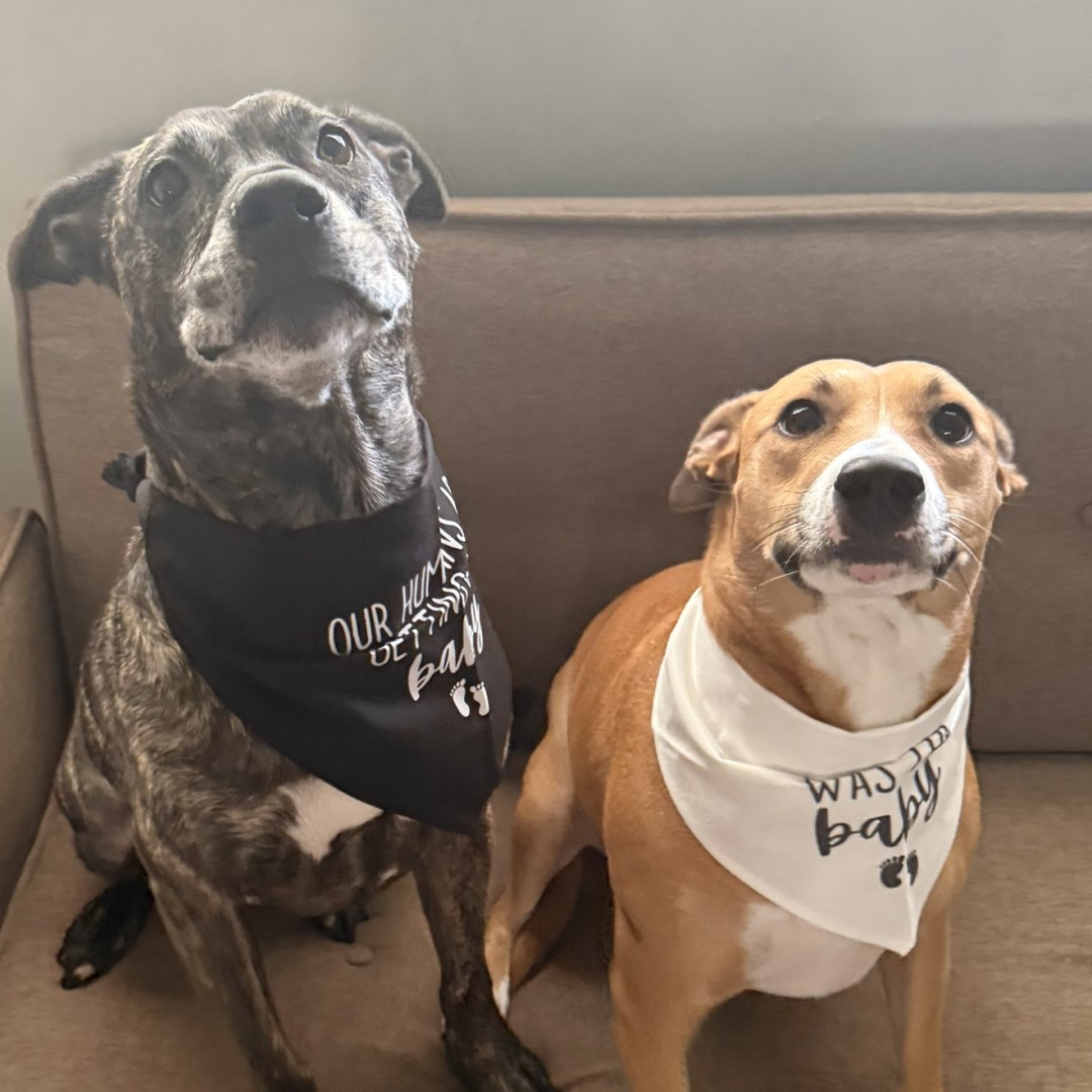 Photo shared by Leah for their Babylist baby registry.