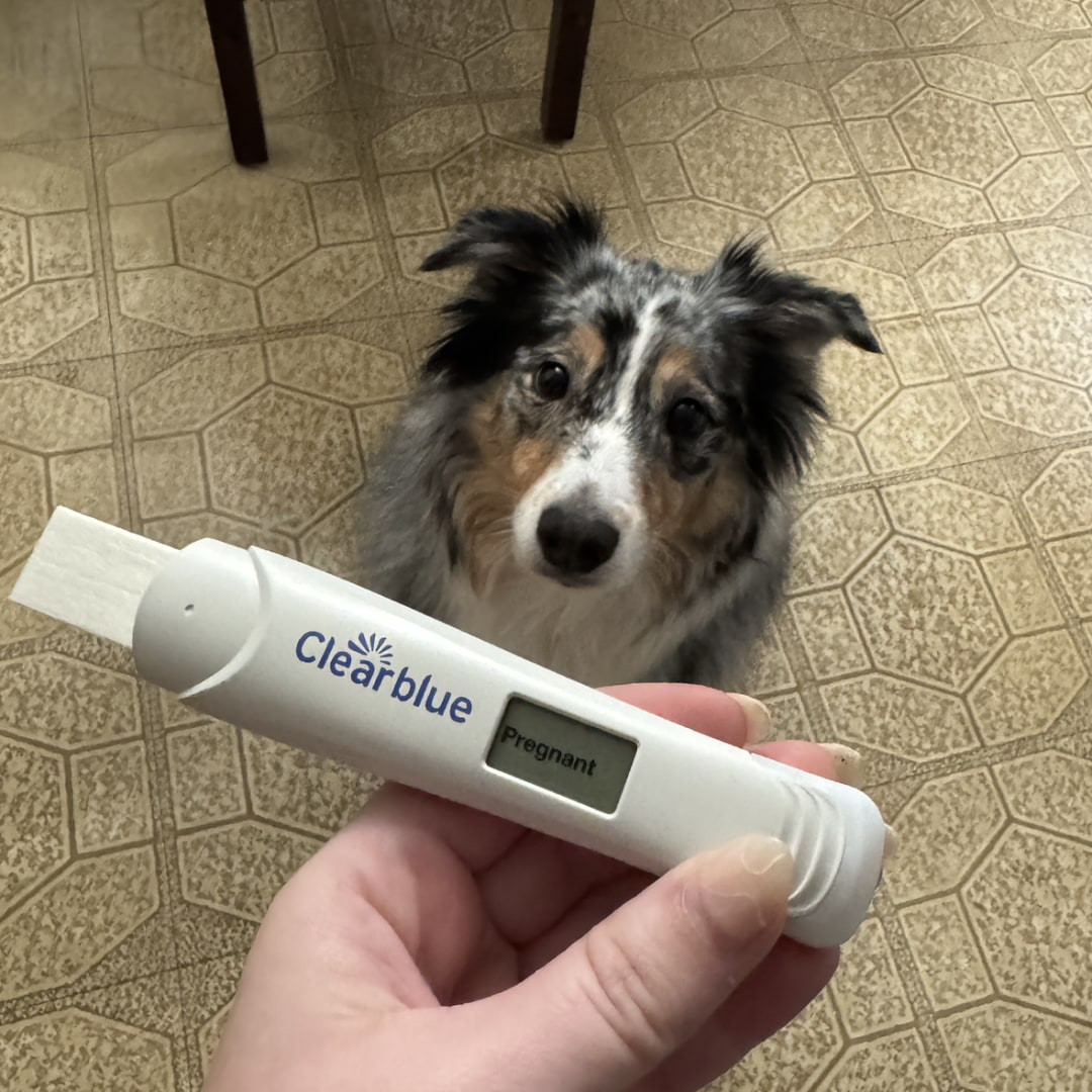 Photo shared by Jessica for their Babylist baby registry.