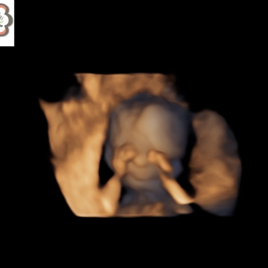 Photo shared by Courtney for their Babylist baby registry.