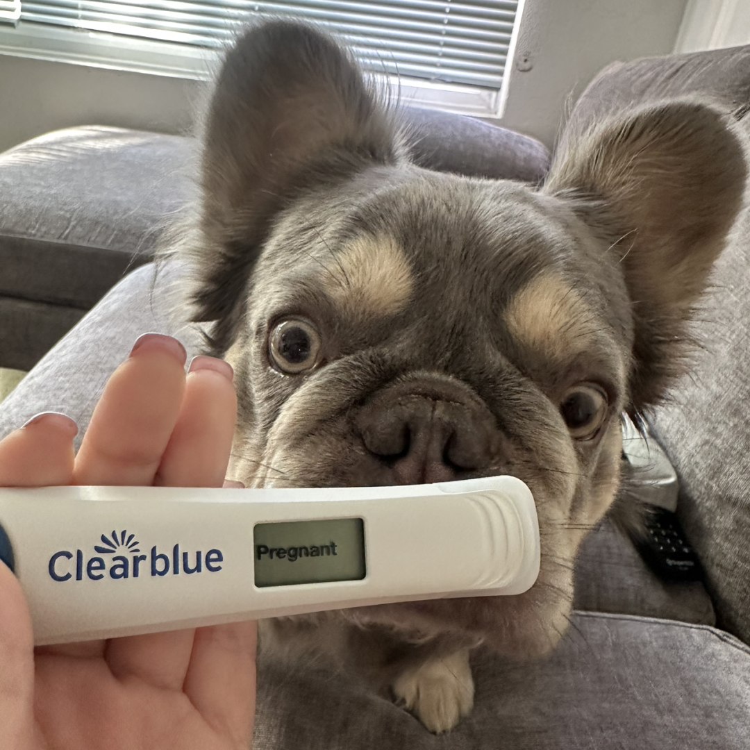 Photo shared by Erika for their Babylist baby registry.