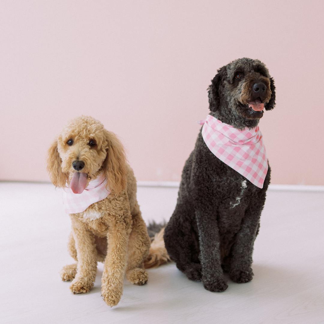 Photo shared by Carley for their Babylist baby registry.