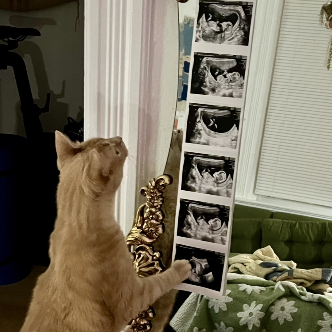 Photo shared by Haleigh for their Babylist baby registry.