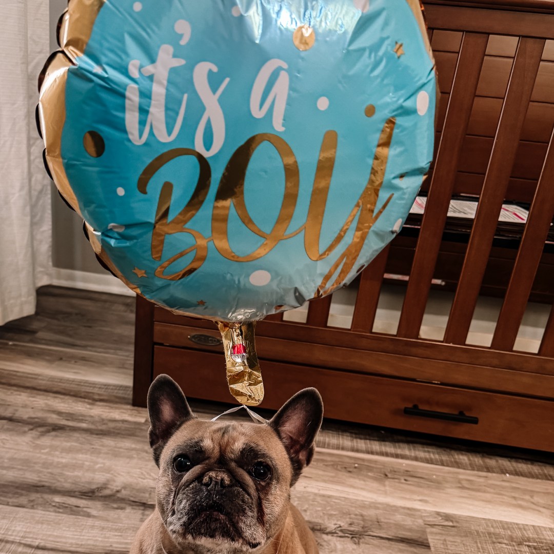 Photo shared by Kelli for their Babylist baby registry.