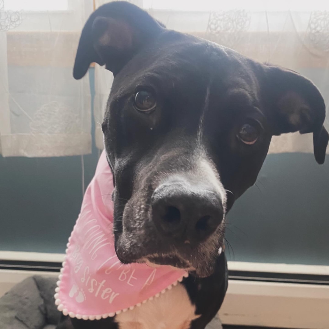 Photo shared by Nikki for their Babylist baby registry.