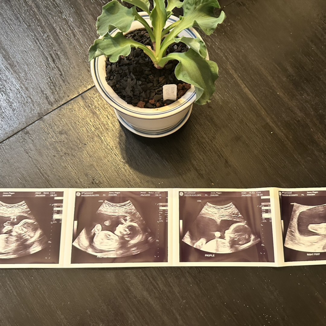 Photo shared by Megan for their Babylist baby registry.