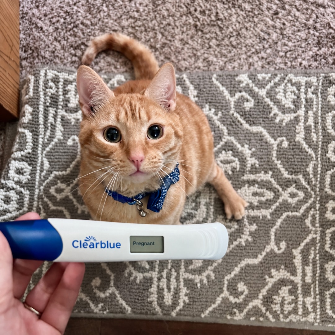 Photo shared by Jonah for their Babylist baby registry.