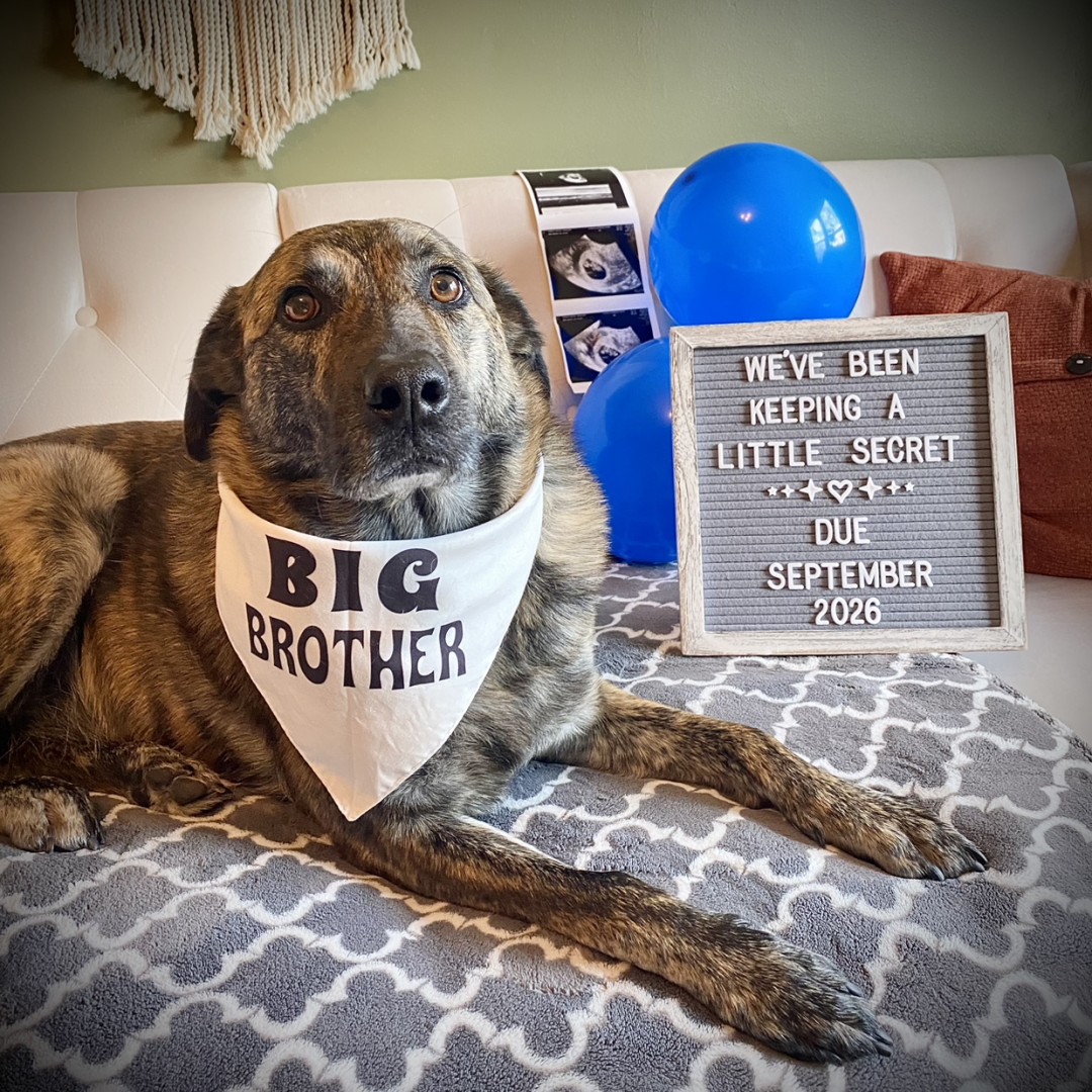 Photo shared by Rachel for their Babylist baby registry.