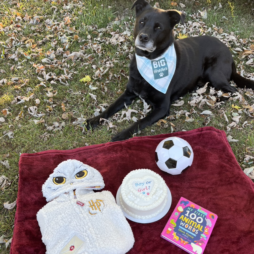 Photo shared by Shannon for their Babylist baby registry.