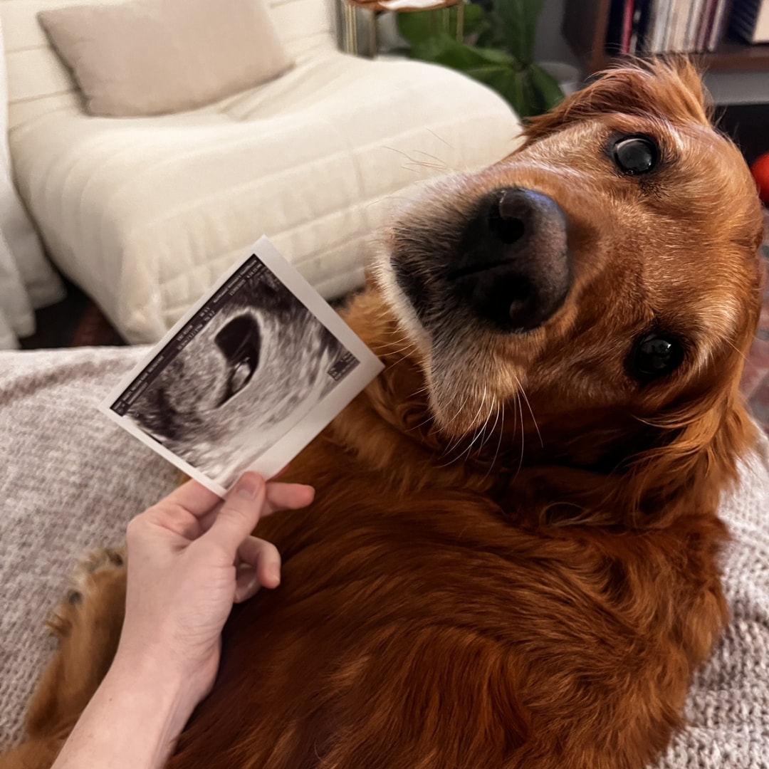 Photo shared by Megan Kaye for their Babylist baby registry.