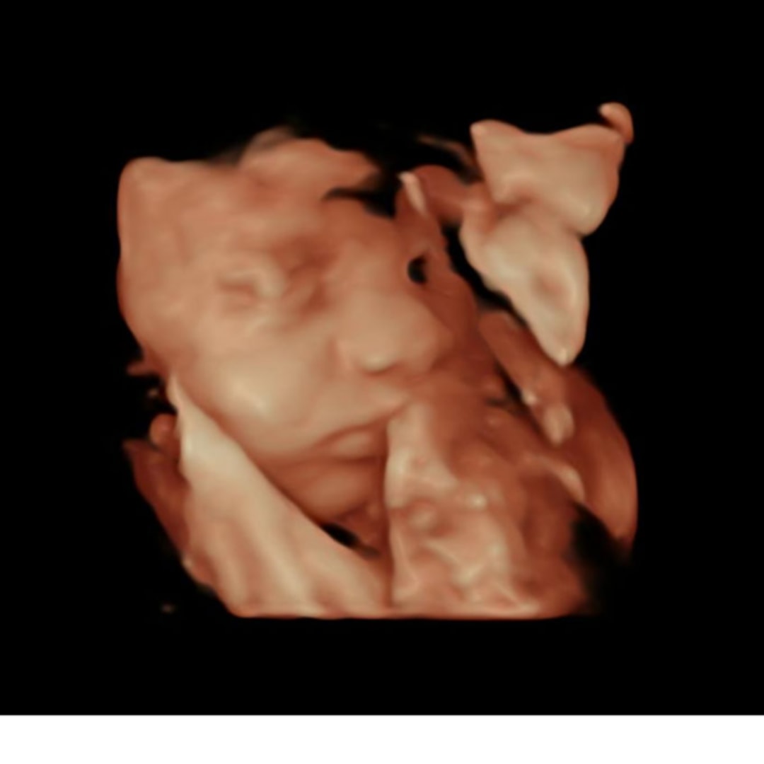 Photo shared by Courtney for their Babylist baby registry.