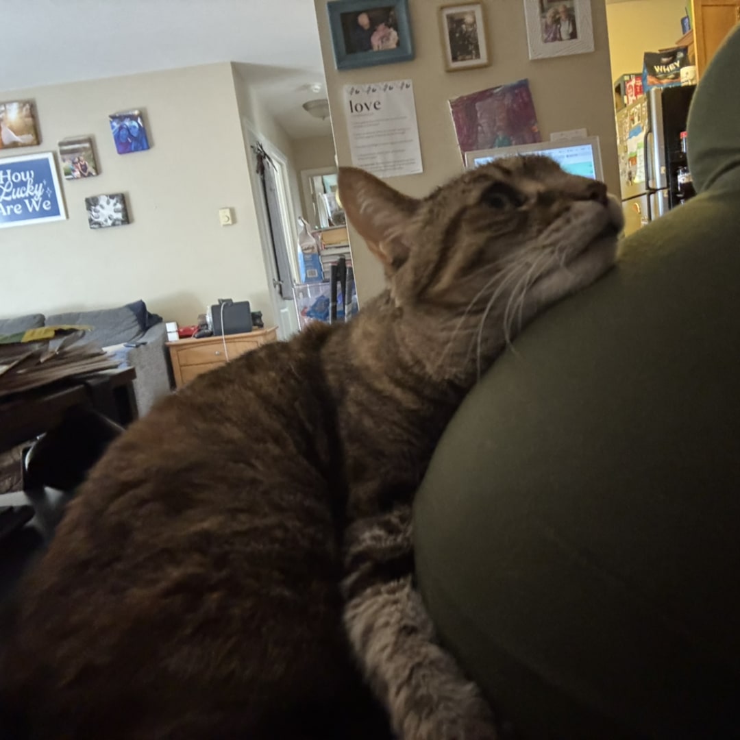 Photo shared by Courtney for their Babylist baby registry.