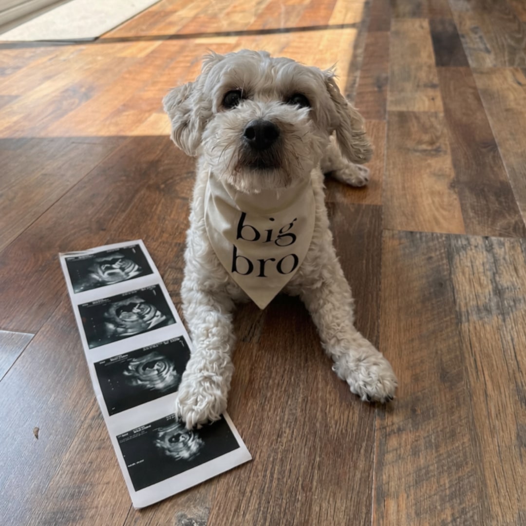 Photo shared by Elizabeth for their Babylist baby registry.