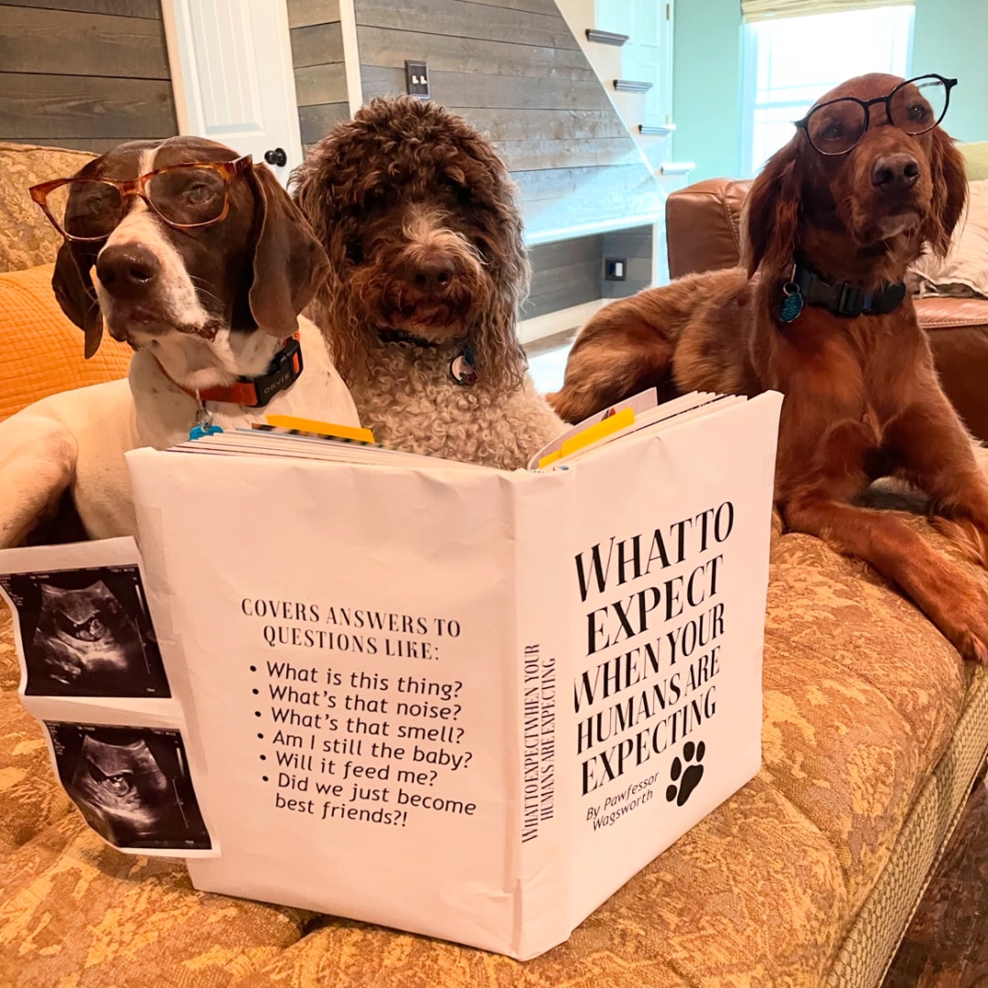 Photo shared by Heather for their Babylist baby registry.